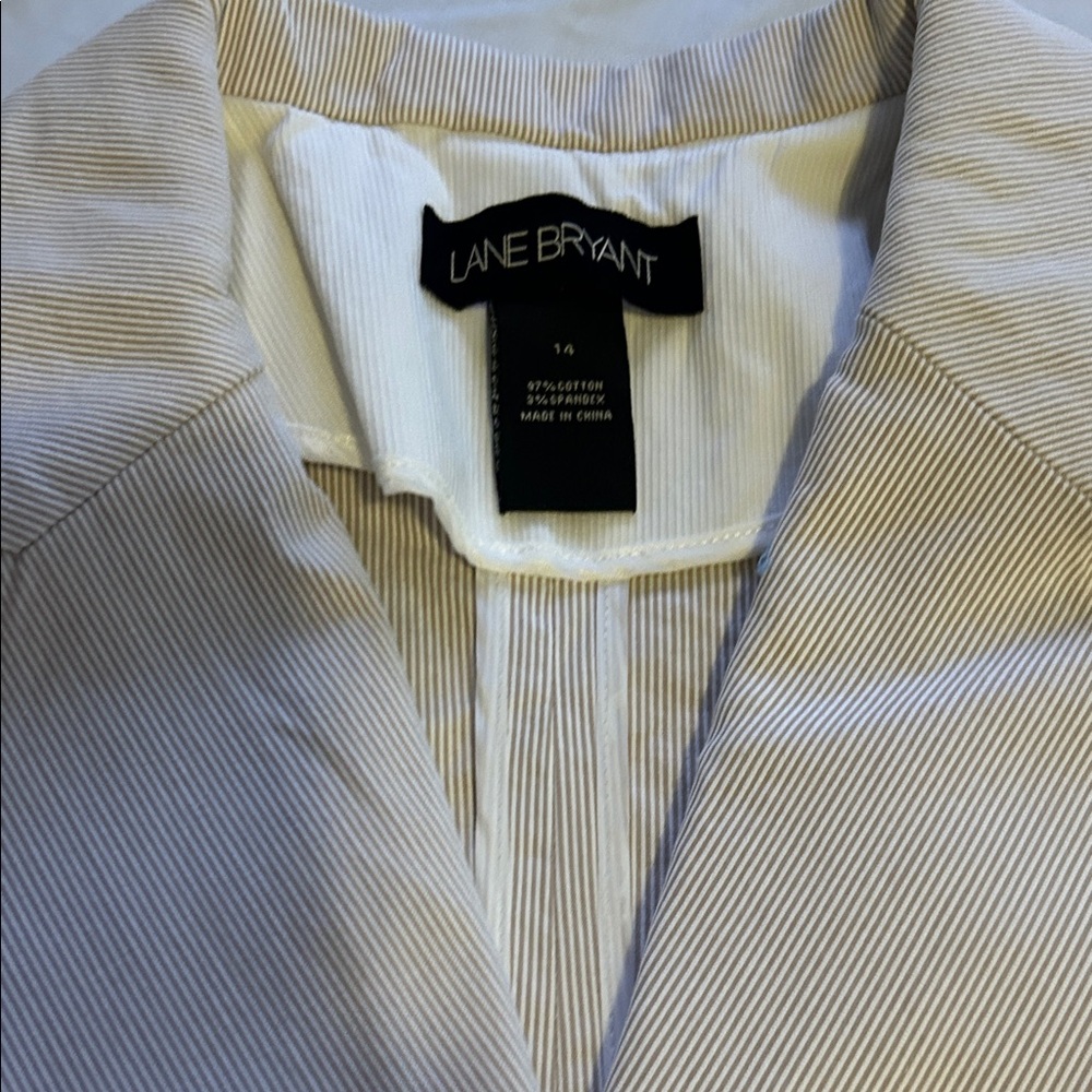 Lane Bryant Beige Pinstripe vest